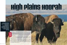 Feature: High Plains Hoorah